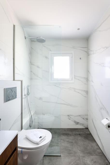 Blue Delta Palaio Faliro Apartment Athens